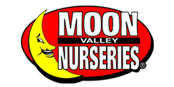 client logosmoon valley